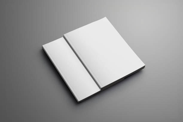 istock Two blank closed A4, (A5) magazines with soft shadows isolated on gray background. 938421970
