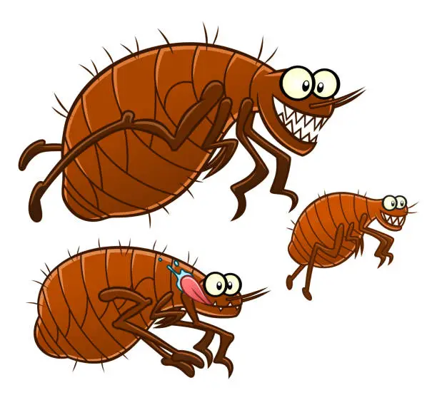 Vector illustration of Cartoon fleas