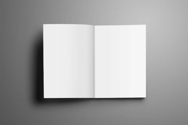 istock Universal blank opened A4, (A5) magazine with soft realistic shadows isolated on gray background. 938422040