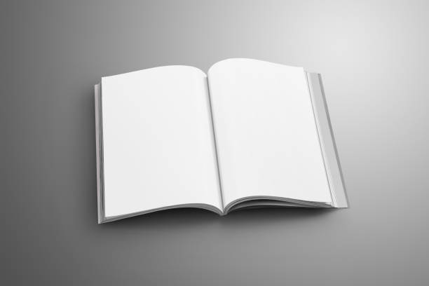 istock Elegant blank opened A4, (A5) catalog with soft realistic shadows isolated on gray background. 938422298