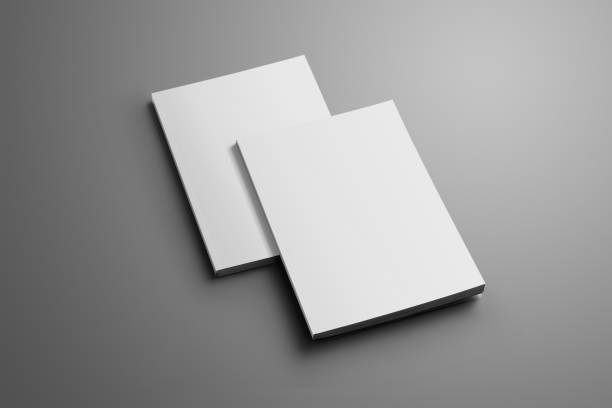 istock Two blank closed A4, (A5) brochures with soft shadows isolated on gray background. 938422368