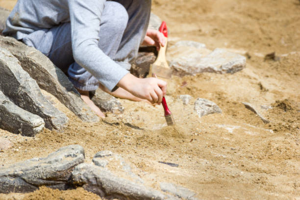 istock Children are learning dinosaur remains, Excavating dinosaur fossils simulation 938422734