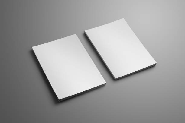 istock Two elegant blank closed A4, (A5) brochures with soft realistic shadows isolated on gray background. 938422738