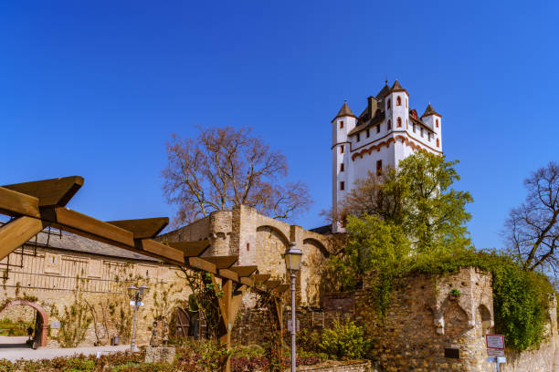 Eltville, Germany - April 11,2016:Looking at castle Eltville near river Rhein at the famous wine growing area Rheingau, Germany.