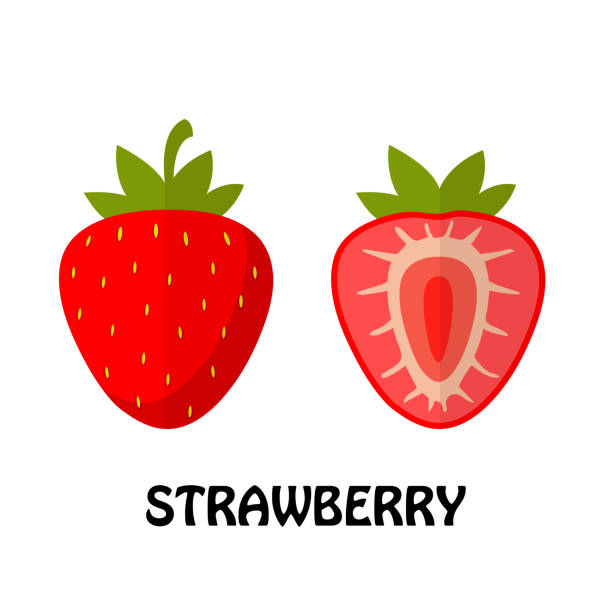 ilustraciones, imágenes clip art, dibujos animados e iconos de stock de vector ilustración plana fresa aislado sobre fondo blanco, estilo minimalista, frutas frescas materias primas - strawberry