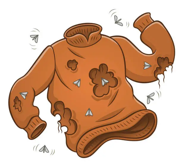 Vector illustration of Sweater with moth holes