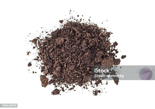 Pile Heap Of Soil Humus Isolated On White Background Stock Photo - Download Image Now