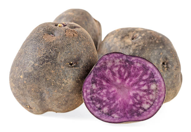 istock Purple potatoes on a white background. Vitelotte potatoes. 938439014