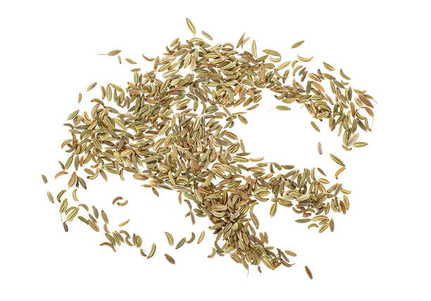istock Fennel dry seeds isolated on white background, top view 938441614