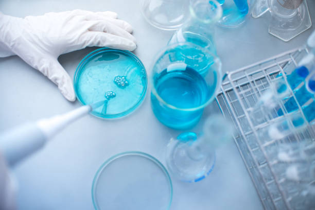 istock Test tubes closeup, science laboratory research and development concept 938454518