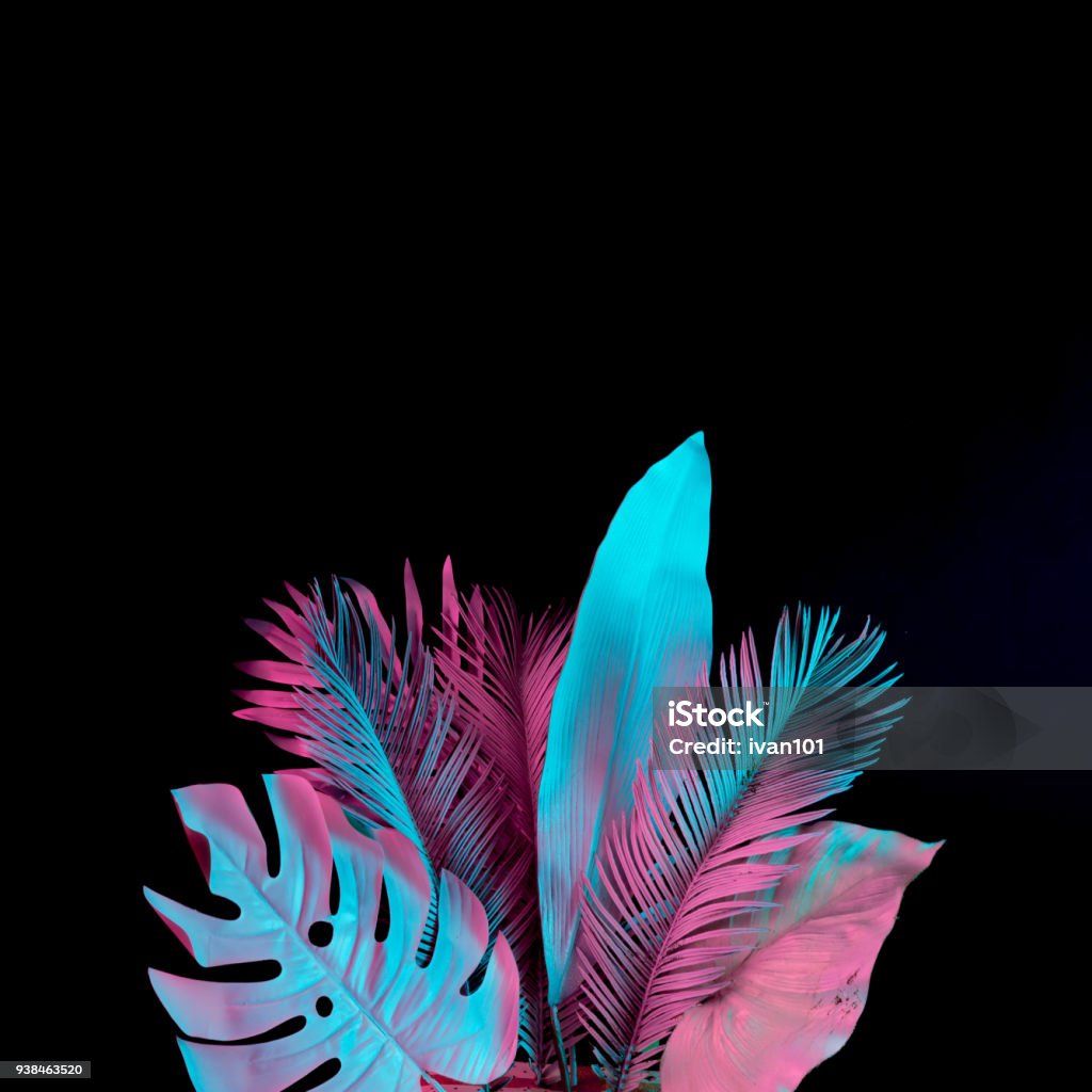 Tropical and palm leaves in vibrant bold gradient holographic neon  colors. Concept art. Minimal surrealism background. Neon Lighting Stock Photo