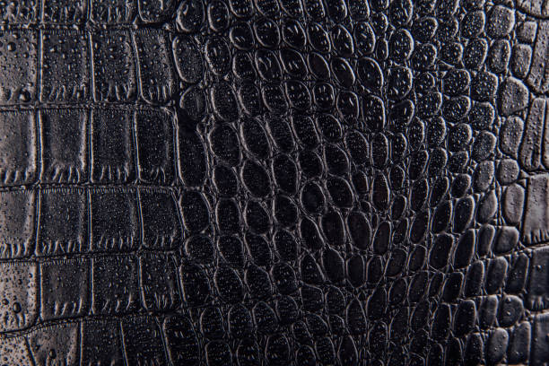 istock Glossy crocodile or snake skin leather background. Black texture covered with water drops 938463548