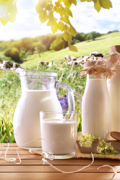 istock Glass containers filled with cow milk in a meadow vertical 938464796