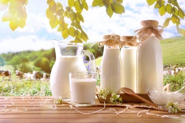 glass containers filled with cow milk in a meadow - milk milk bottle bottle glass imagens e fotografias de stock