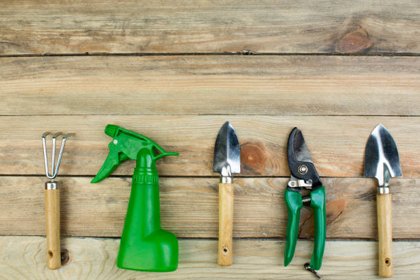 istock Composition with flowers and gardening tools on the wooden background with space for text 938475500