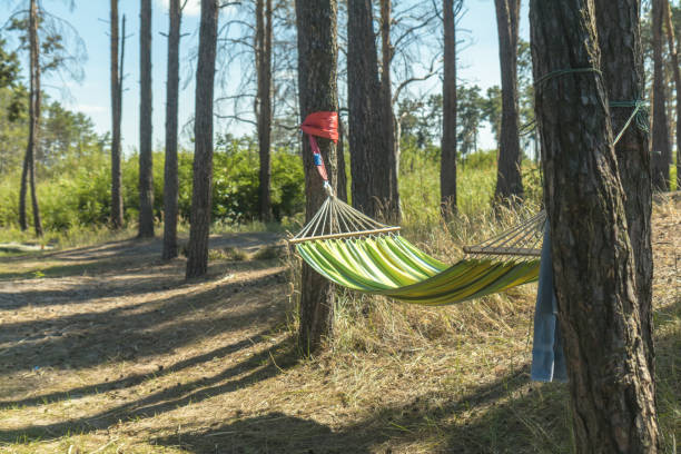 istock Relaxing lazy time with color hammock in the green forest. 938476782