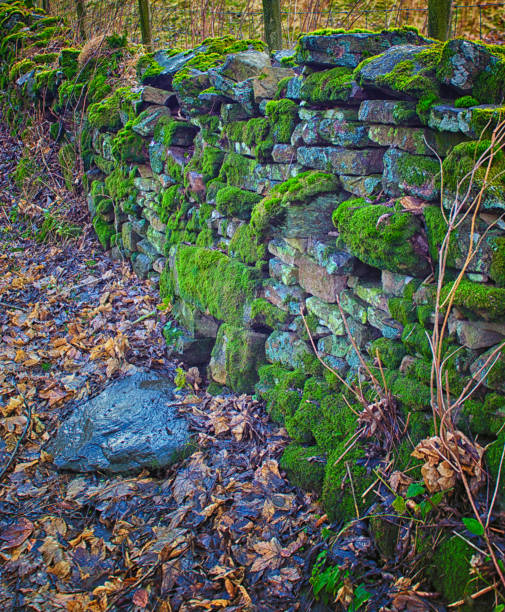 istock Dry stone wall on a sheep farm 938477404