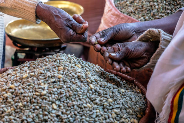 エチオピアのコーヒー - ethiopian coffee ストックフォトと画像