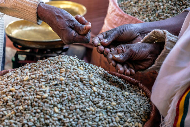 에티오피아 커피 - ethiopian coffee 뉴스 사진 이미지