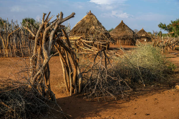 Hamer tribe, Ethiopia Traditional houses of Hamer people, Ethiopia, Africa hamer tribe photos stock pictures, royalty-free photos & images