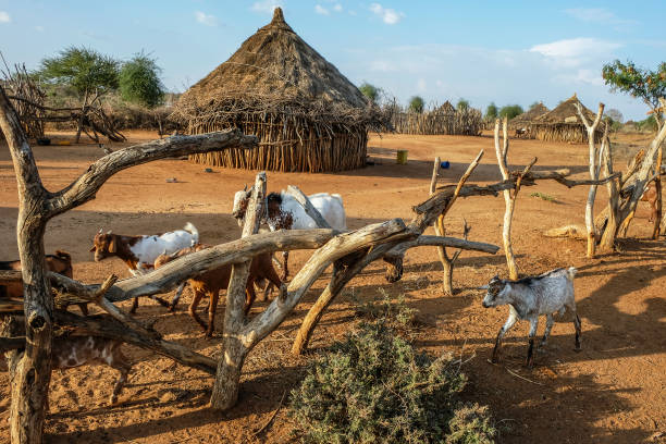 istock Hamer tribe, Ethiopia 938480500