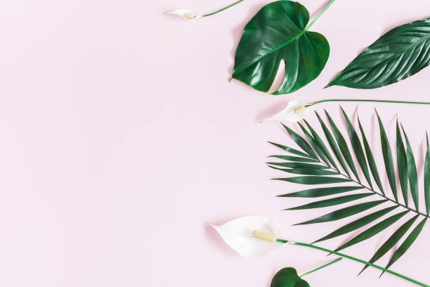 istock Green tropical leaves and white flowers. Flat lay, top view 938480754