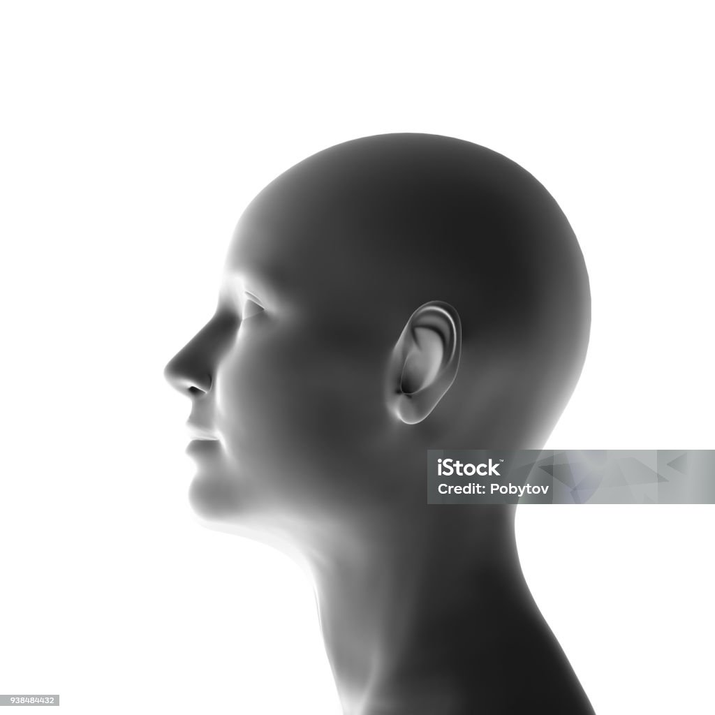 profile of a woman isolated, 3-d render Three Dimensional Stock Photo