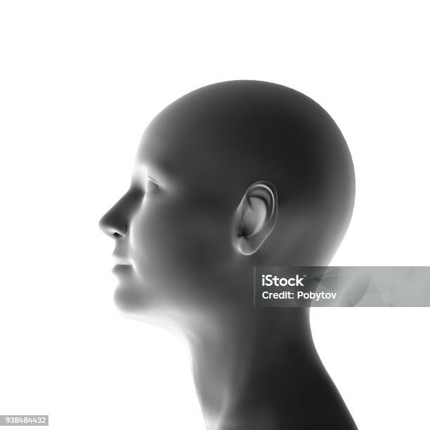 Profile Of A Woman Isolated 3d Render Stock Photo - Download Image Now - Three Dimensional, Profile View, Head