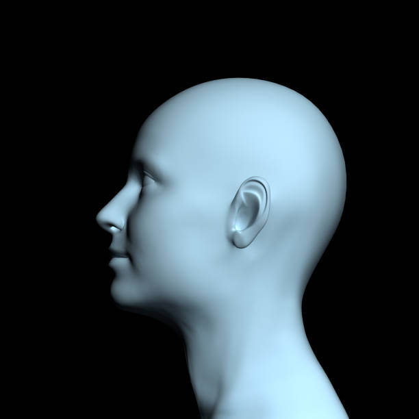 istock profile of a woman isolated, 3-d render 938484442