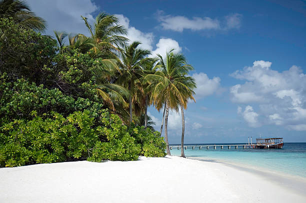 istock Secluded Tropical white beach, Mirihi, Maldives 93848528