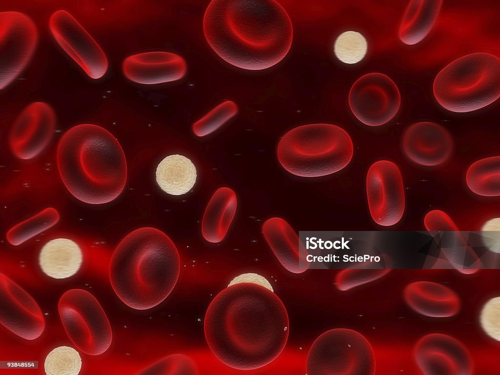 As células sanguíneas - Royalty-free Artéria Humana Foto de stock