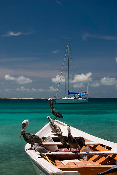 Fishboat stock photo