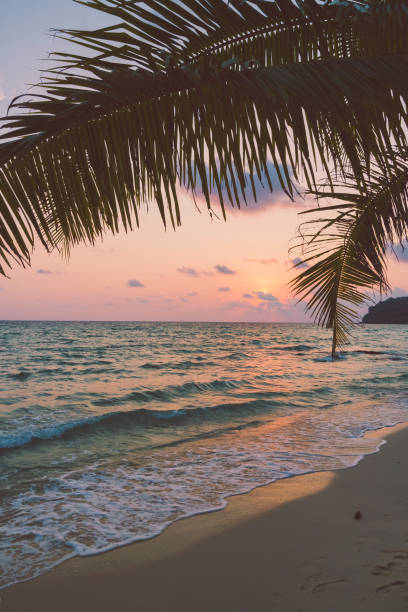 istock Beautiful paradise island with beach and sea 938498114