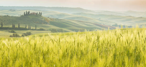 istock Villa Belvedere in the morning Tuscany landscape 938501774