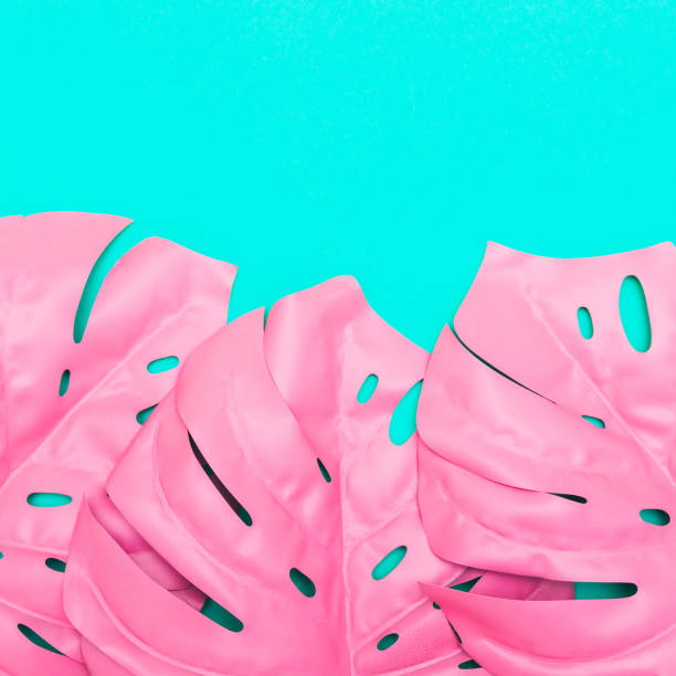 istock three pink tropical and palm leaves 938505842