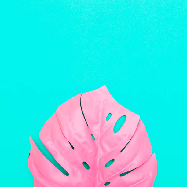 istock pink tropical and palm leaf of monstera 938505846