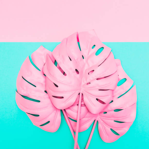 istock three pink tropical and palm leaves 938506026