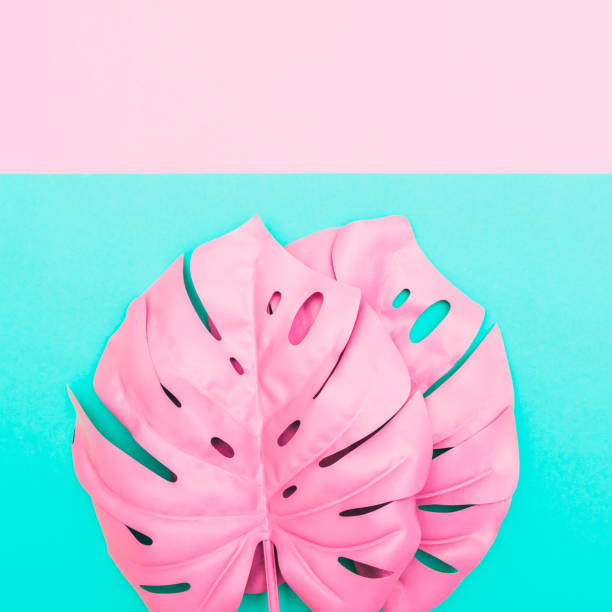 istock two pink tropical and palm leaves 938506044
