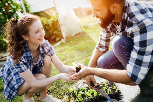 istock Two people working in a greenhouse. 938516444