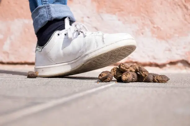 The foot of a pedestrian about to step in doggie-do on the road - very nearly a smelly, messy accident! Make you look bad. Bad luck. Be very careful.