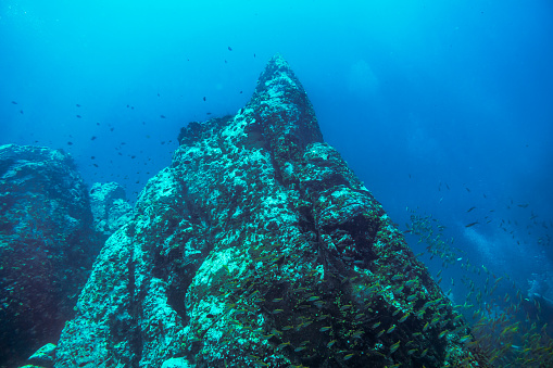 Pináculo submarino de aguas profundas en el fondo del océano photo