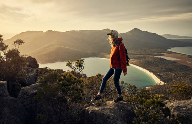 istock She's making her way to the top 938524898