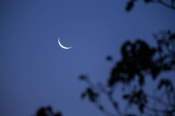 istock Waxing gibbous in San Cristobal 938524972