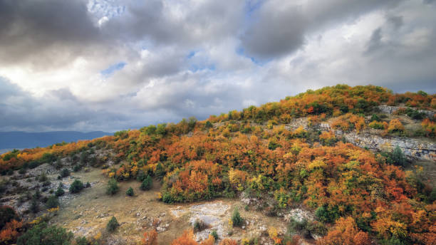 istock Mountain autumn hills landscape. Nature composition 938531476