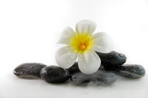 istock spa concept with candle, stone, flower and bamboo, relaxation 938536112