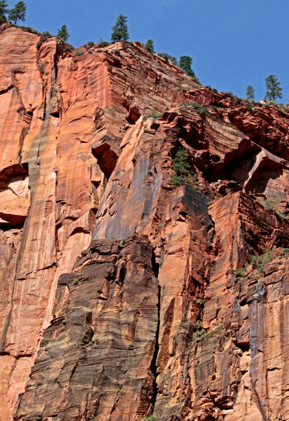 istock Zion National Park, Utah, USA 938541530