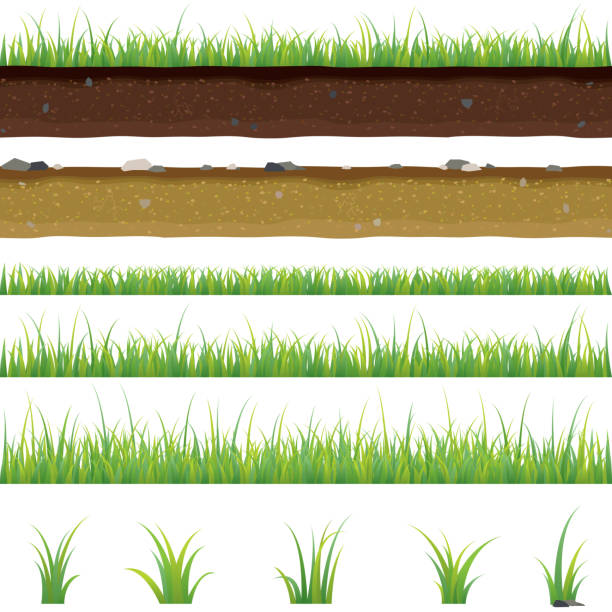 ilustrações de stock, clip art, desenhos animados e ícones de set of seamless horizontal pattern with grass and soil - solo ilustrações