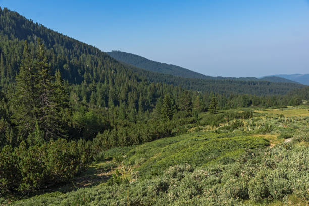 istock Landscape of Begovitsa River Valley, Pirin Mountain, Bulgaria 938543728