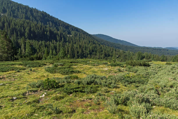 istock Landscape of Begovitsa River Valley, Pirin Mountain, Bulgaria 938543730