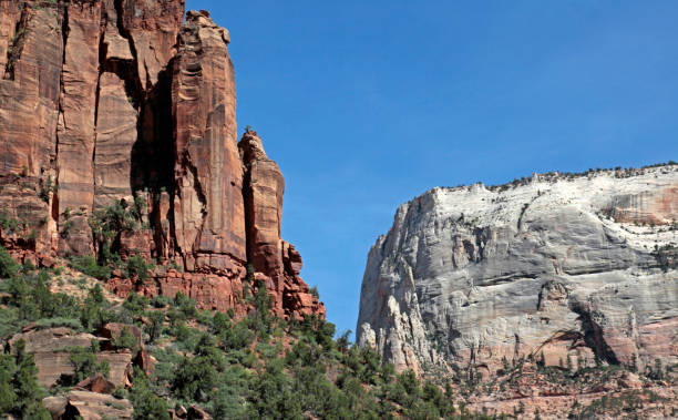 istock Zion National Park, Utah, USA 938546296
